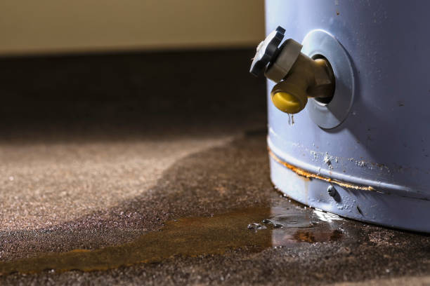 Best Carpet water damage restoration  in Rock Hill, MO