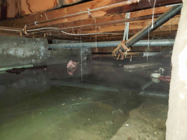 Best Emergency water damage restoration  in Rock Hill, MO