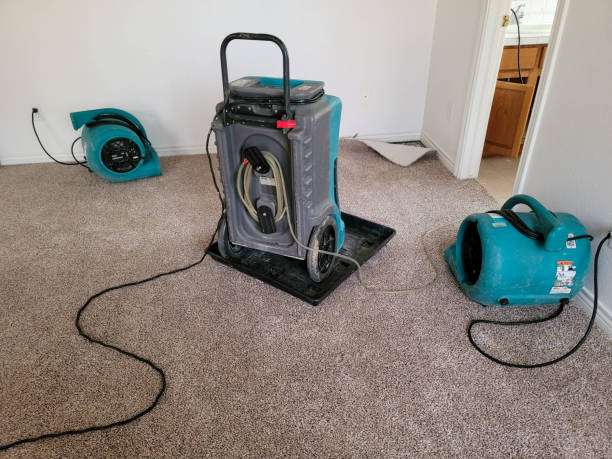 Best 24-hour water damage restoration  in Rock Hill, MO